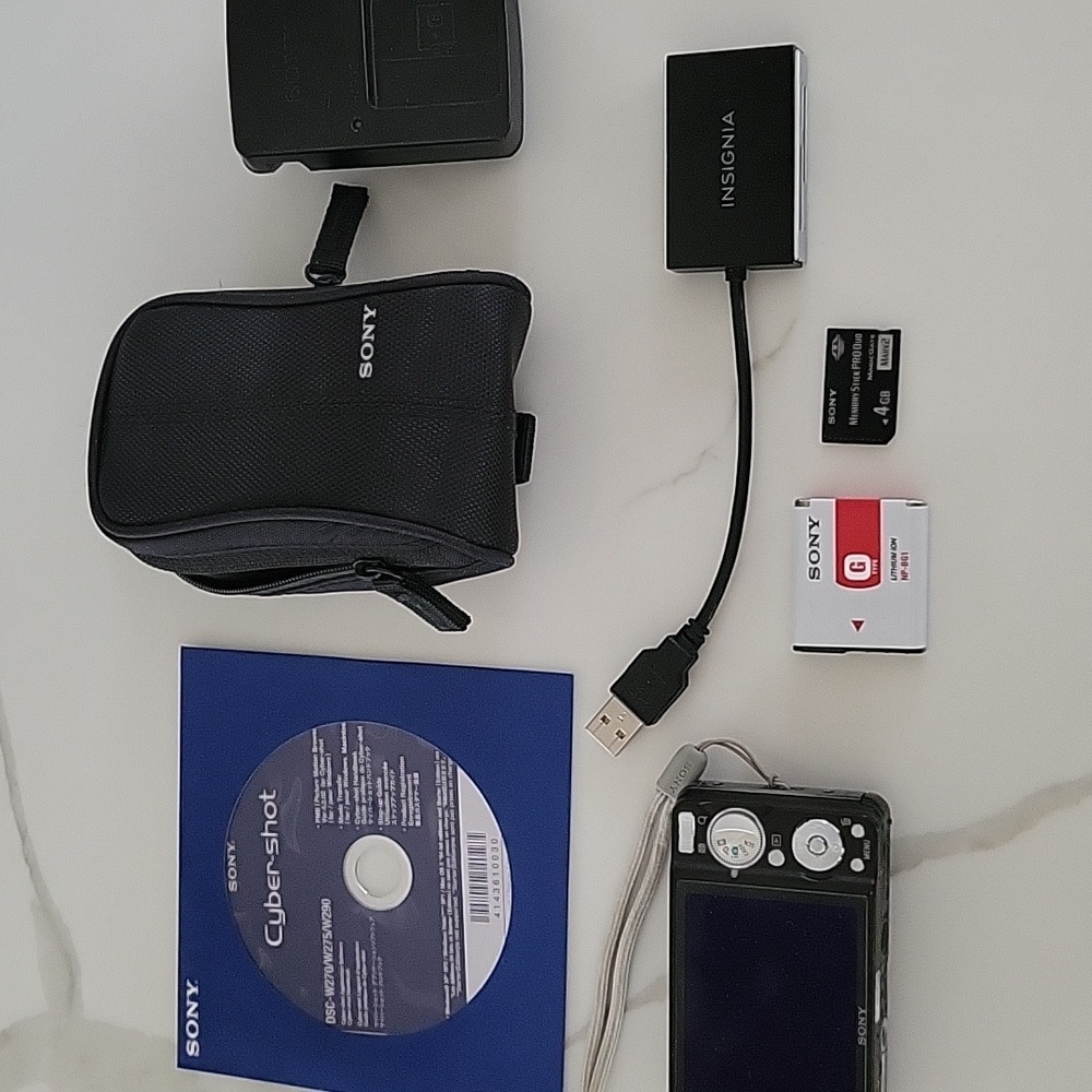 Sony Cyber-shot DSC-W290 12 MP Digital Camera with 5x Optical Zoon